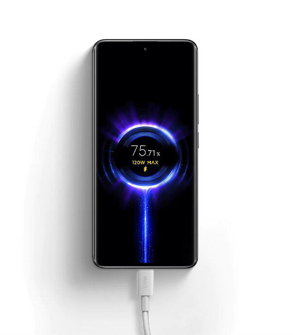 کابل شارژ شیائومی Xiaomi 6A Braided USB-C to USB-C Cable