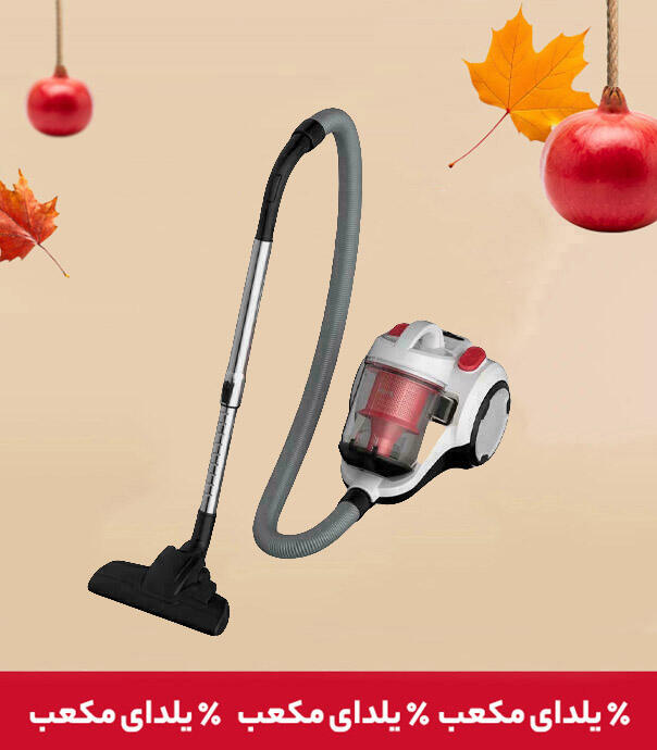 جارو برقی درما مدل DEERMA DEM-TJ310W