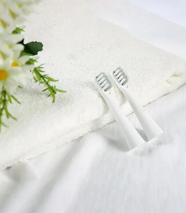 سری دو عددی مسواک  Bomidi T501 Electric Toothbrush Replacement