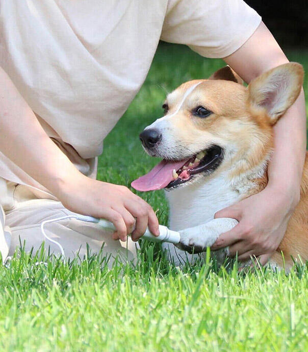 سوهان ناخن برقی Pawbby مدل NG001