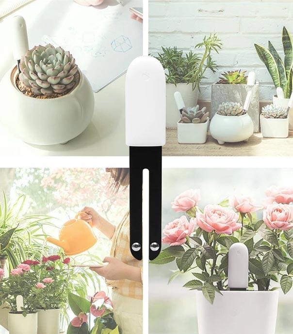 سنسور گل و گیاه شیائومی Flower Care HHCCJCY01H