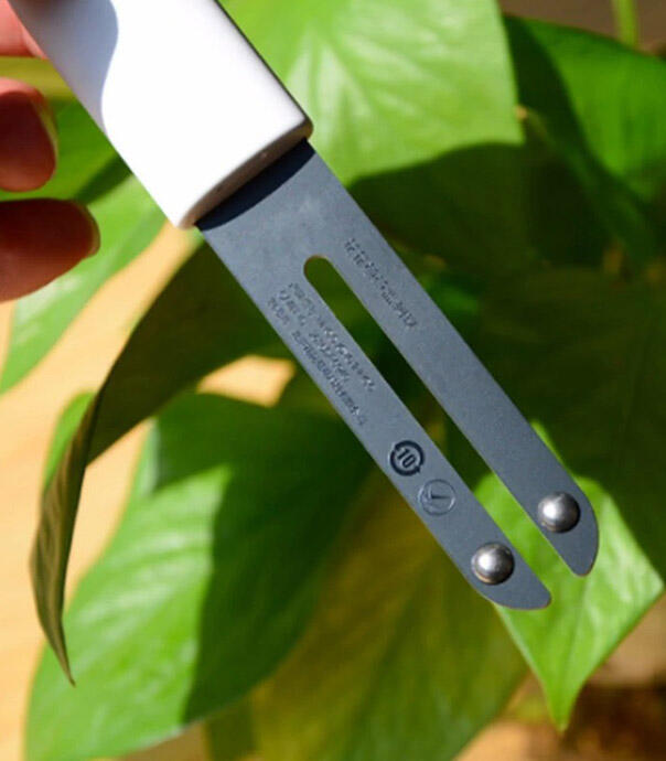 سنسور گل و گیاه شیائومی Flower Care HHCCJCY01H