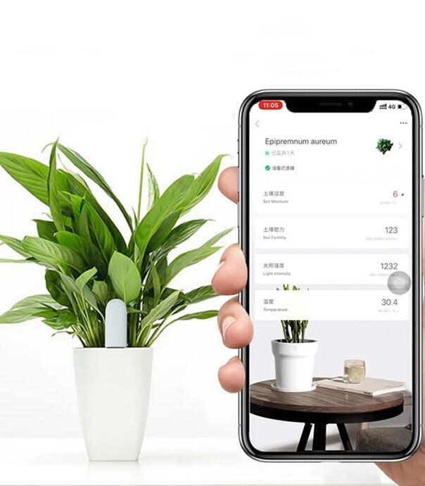 سنسور گل و گیاه شیائومی Flower Care HHCCJCY01H