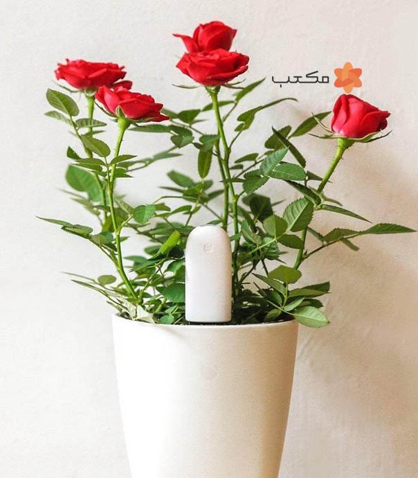 سنسور گل و گیاه شیائومی Flower Care HHCCJCY01H